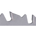 Carbide Tipped Circular Saw Blade, Separating Cuts and Cut-Outs Coarse with Chip Thickness Limiter Alternative Image