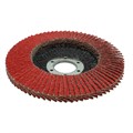 Fächerschleifscheibe CERAMIC STANDARD PRO - VE 10 Stück anderes Bild