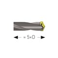 Spade Drill Holder, Helical Fluted, Morse Taper Shank, ISO 296 type BEK Alternative Image